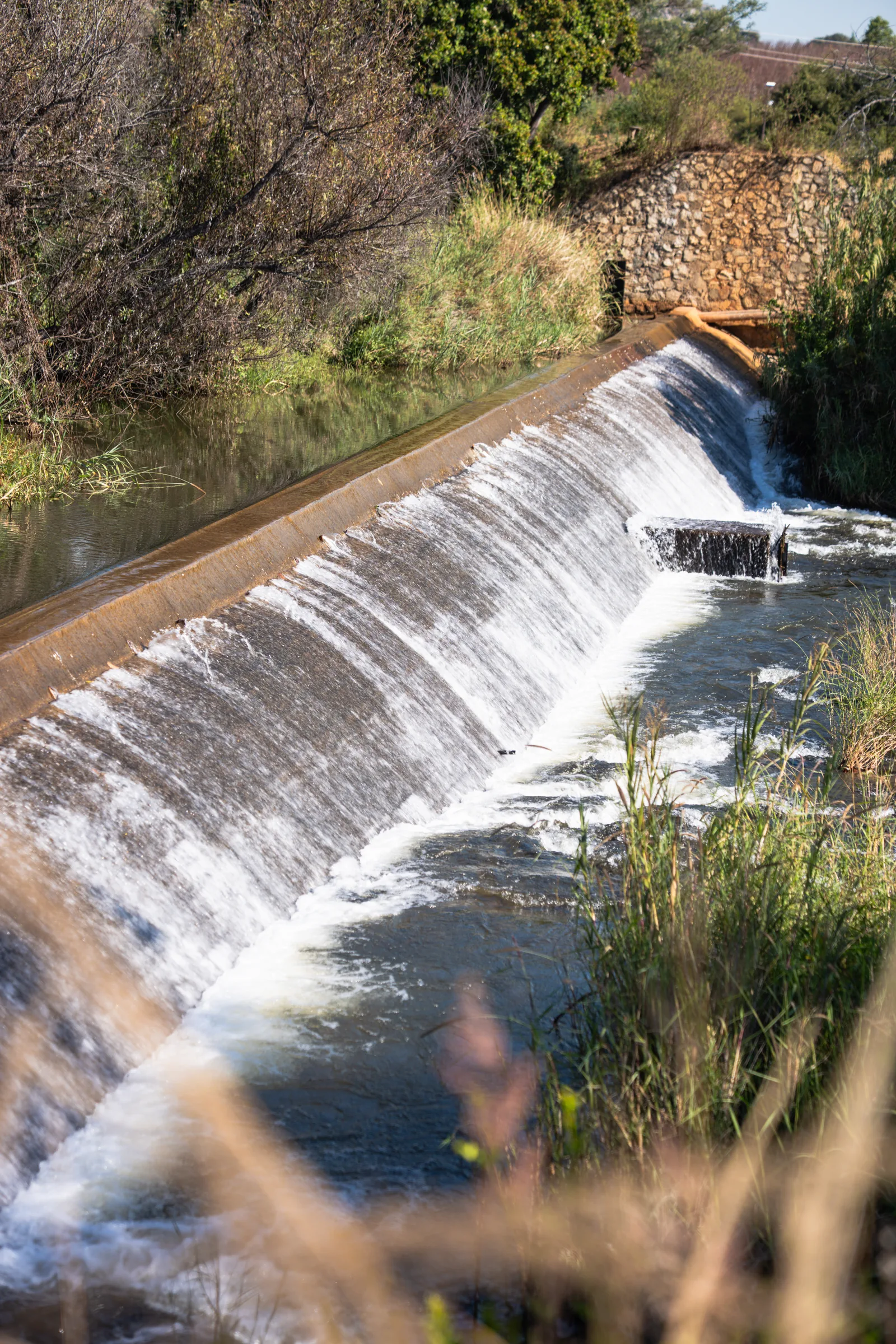 Claremont 1 — Nyamukombe River, Nyanga